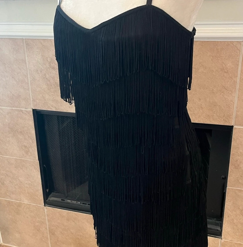 AKIRA Fringe on fringe flapper dress 3