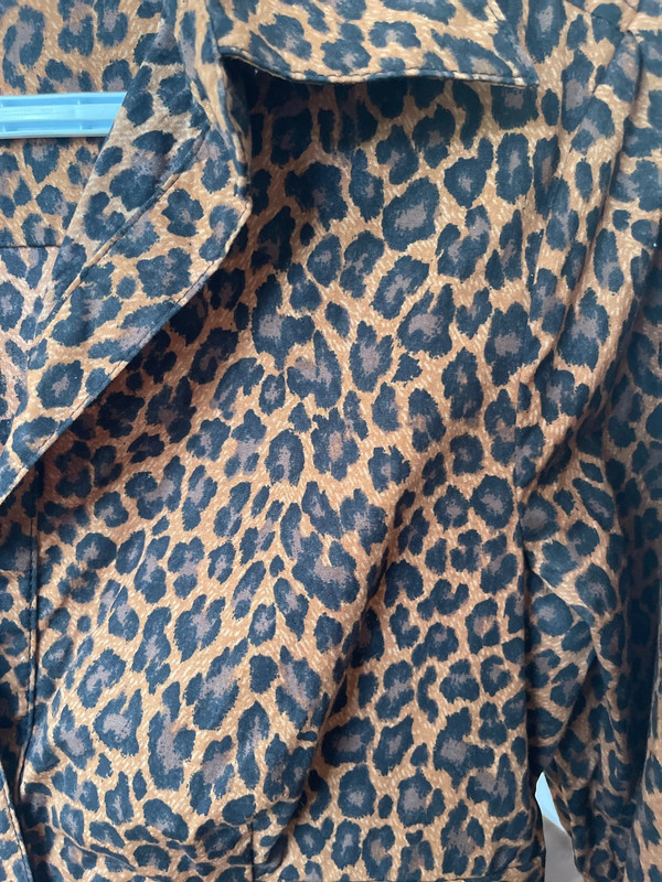 Express Leopard Dress 3