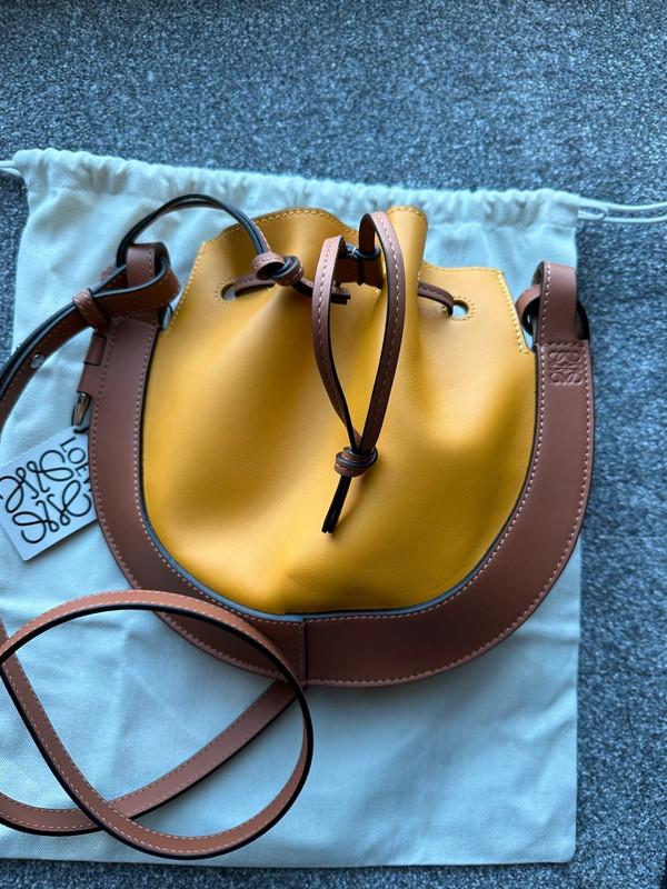 Loewe Small Leather Horseshoe Bag in Green
