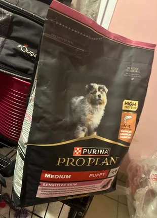 Croquette pro plan puppy médium saumon, marque: Proplan, état: Neuf avec étiquette, 10,00 €, 11,20 € Protection acheteurs incluse