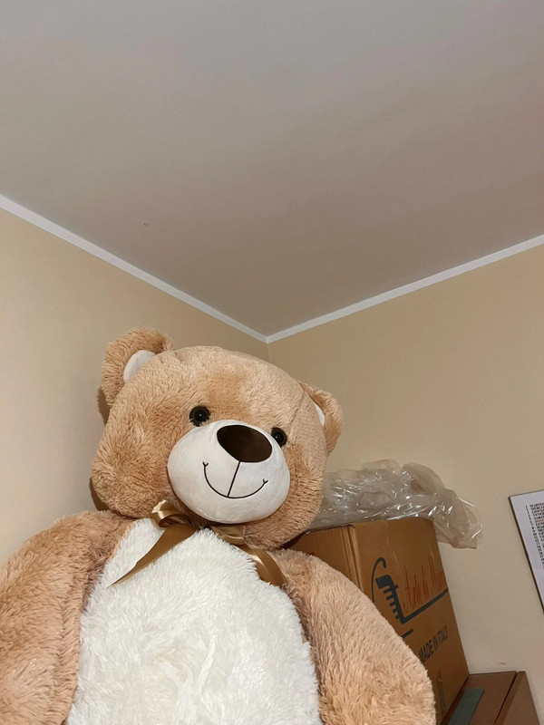 Toys orso gigante sales