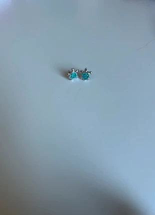 Oorbellen schildpad., staat: Nieuw zonder prijskaartje, € 1,00, € 1,75 inclusief Kopersbescherming