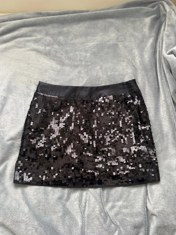 Express mini skirt 2