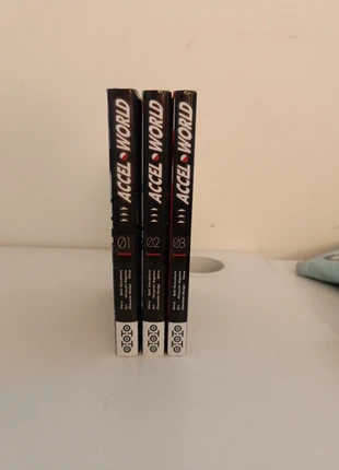 Accel world, zustand: Sehr gut, 7,00 €, 8,05 € inklusive Vinted-Käuferschutz