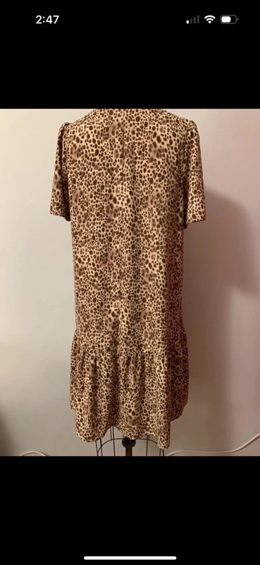 Leopard Print Dress 3