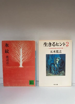 Libri giapponesi 2 set di livello avanzato 1, zustand: Sehr gut, 6,00 €, 7,00 € inklusive Vinted-Käuferschutz