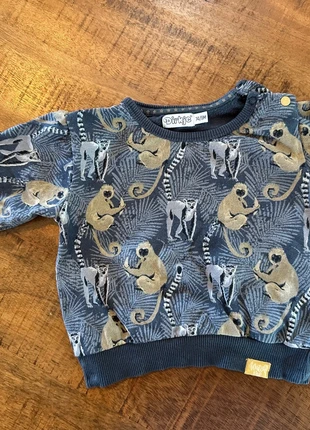 Dirkje trui mt 74, brand: Dirkje, condizioni: Ottime, taglia: 9-12 mesi / 74 cm, €2.50, €3.33 include la Protezione acquisti