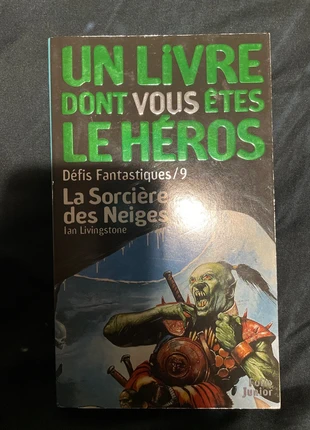 La sorcière des neiges v2, état: Très bon état, 5,00 €, 5,95 € Protection acheteurs incluse