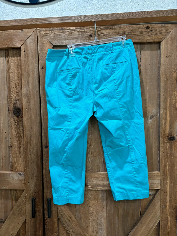 Turquoise capris 3