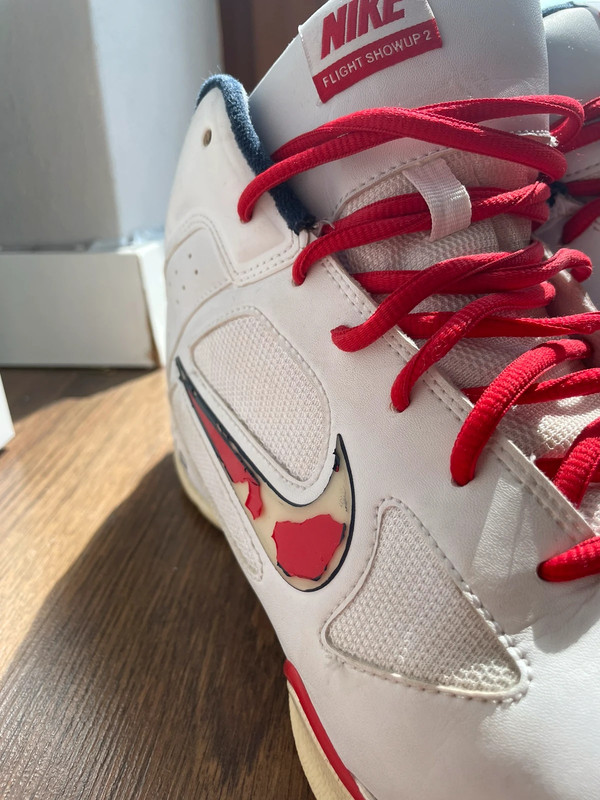 Nike Air zipper Flight Showup