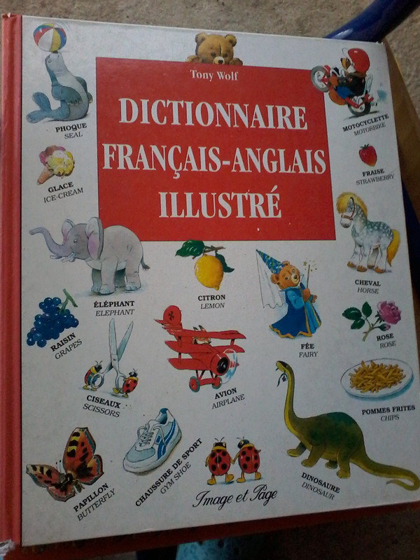 Dictionnaire anglais francais  Vinted