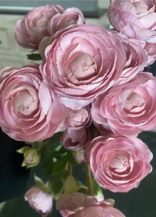 Bouquet de renoncules parme pas de Vinted Go!!, merk: SHABBY, staat: Heel goed, € 26,00, € 28,00 inclusief Kopersbescherming