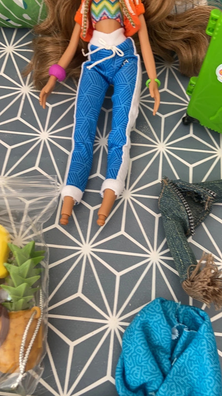 Barbie Camping Fun Skipper & Accessories - Dolls, Facebook Marketplace