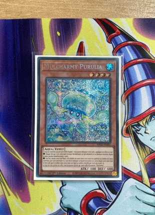 Mulcharmy purulia, marque: Yu-Gi-Oh!, état: Neuf sans étiquette, 12,00 €, 13,30 € Protection acheteurs incluse