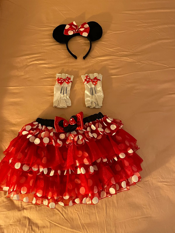 Minnie mouse dress up 2025 set