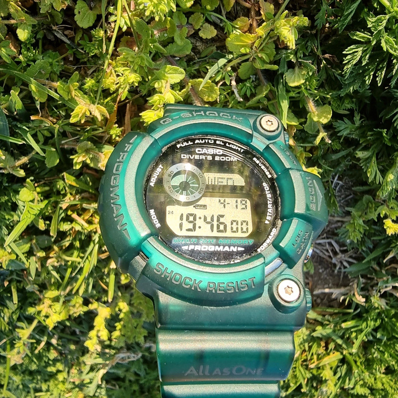 Casio G-shock Frogman GW-202 ICERC