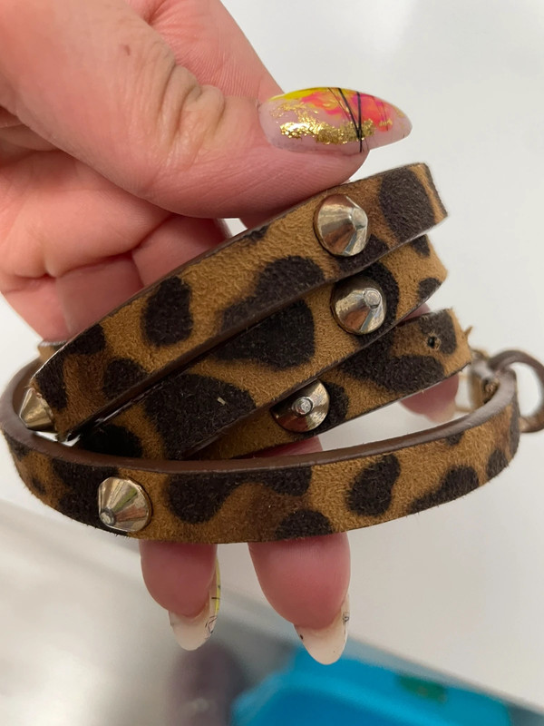 Cinturón leopardo con detalles tachuelas doradas talla S - Vinted