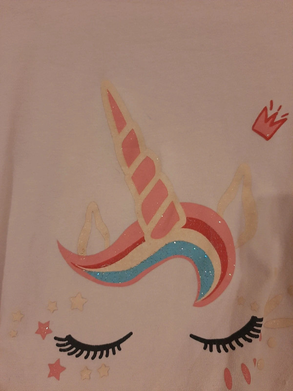 Tee-shirt Licorne 4