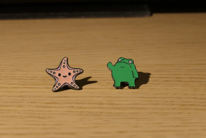 Pins Sapo e Estrela 2