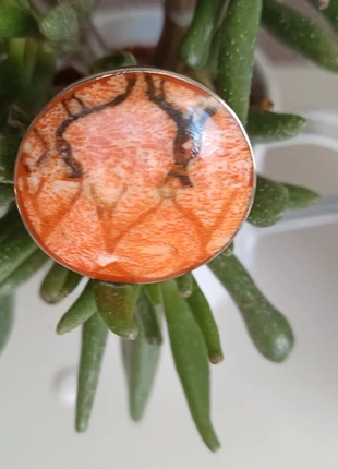 Bague style corne 🐂, brand: Orange, condition: Very good, size: Adjustable, €8.00, €9.10 includes Buyer Protection