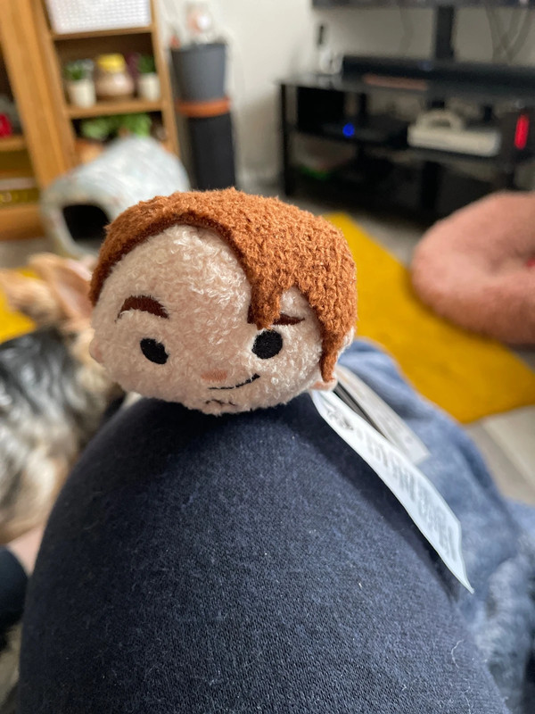 Flynn rider plush shop