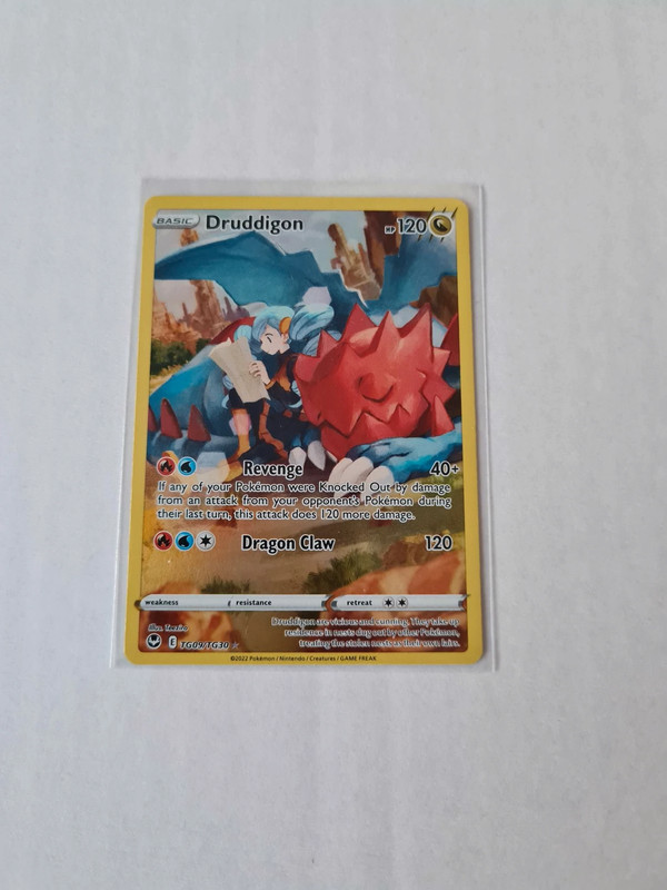 Pokemon Silver Tempest TCG - Druddigon - TG09/TG30 Trainer Gallery