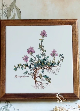 Villeroy et boch rare botanica vintage xl dessous de plat décoration de table, marca: Villeroy & Boch, estado: Muy bueno, 18,00 €, 19,60 € Protección al comprador incluida