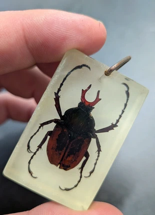 Luminous keyring with insect in, condition: Good, £5.00, £5.95 includes Buyer Protection