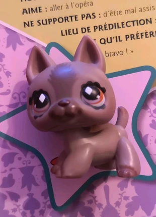 Petshop rare chien berger allemand , marke: Hasbro, zustand: Sehr gut, größe: 4 Jahre / 104, 5,00 €, 5,95 € inklusive Vinted-Käuferschutz