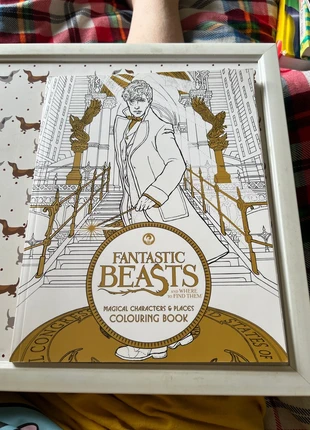 Fantastic Beasts and where to find them. Magical Characters & places colouring book, condition: New without tags, £2.50, £3.00 includes Buyer Protection