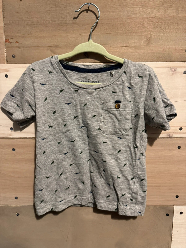 2T Craft + Flow Knitwear Gray Small Dino T-Shirt 1