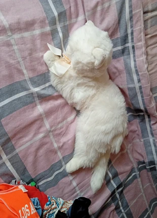 Cat soft toy peach bow, condition: Very good, size: One size, £5.00, £5.70 includes Buyer Protection