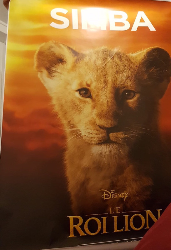 Affiche Du Film Le Roi Lion Simba Bebe Disney Vinted