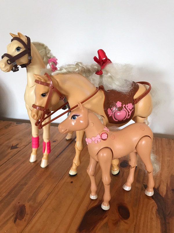 Vergevingsgezind timmerman Excursie Barbie paarden met stal en toebehoren - Vinted