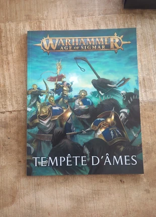 Livre tempête d'âmes, merk: Games Workshop, staat: Nieuw zonder prijskaartje, maat: Prematuur, tot 44 cm, € 5,00, € 5,95 inclusief Kopersbescherming