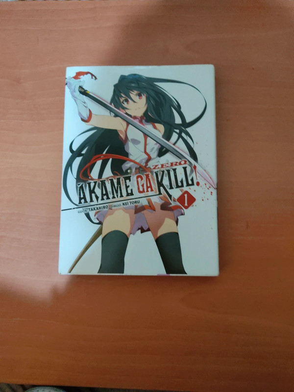 ART] Akame ga Kill writer Takahiro & Toru Kei (Akame ga Kill