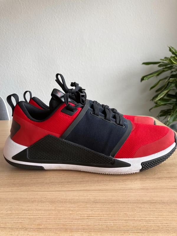 Nike Air Jordan delta speed Vinted