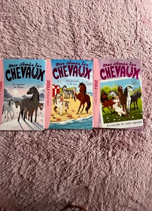 Livre mes amis, les chevaux, merk: La bibliothèque Rose, staat: Heel goed, maat: Universeel, € 8,50, € 9,63 inclusief Kopersbescherming