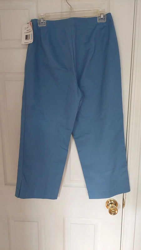 Michaela  Spandex Side Zip Cropped Pants-10 2