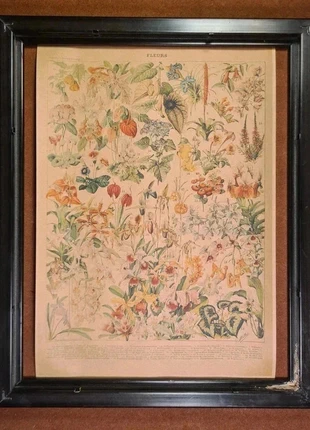 Affiche Retro Fleurs Format A4, marque: Fleur's, état: Neuf sans étiquette, 7,00 €, 8,05 € Protection acheteurs incluse