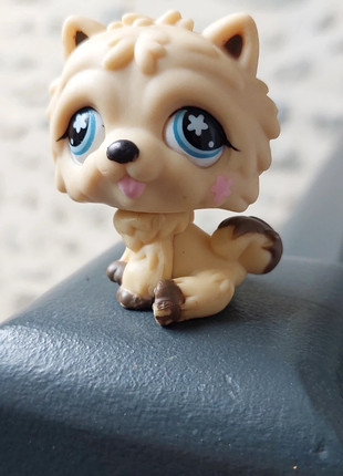 Pet shop chien chow-chow, marque: Littlest Pet Shop, état: Bon état, taille: Taille unique, 2,00 €, 2,80 € Protection acheteurs incluse
