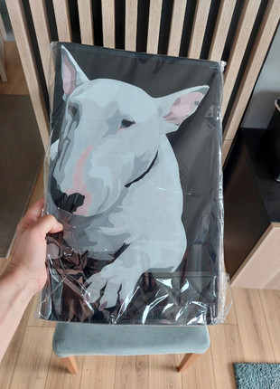 Obrázek k inzerátu: Bulterier Bullterrier