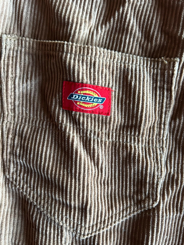 Dickies Skirtall / Overall 3