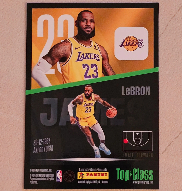 Panini Top Class NBA 2023-2024
Holo Giants
LeBron James 2