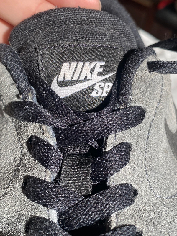 Nike SB 3