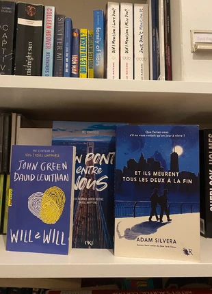 Lot 3 livres YA / BookTok : Et ils meurent tous à la fin, Will & Will, Un pont entre nous, condizioni: Ottime, €15.00, €16.45 include la Protezione acquisti