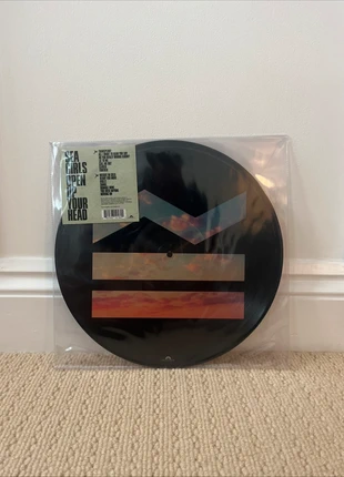 Open up you Head by Sea Girls, Picture Disc Vinyl Record, condition: Very good, £17.50, £19.08 includes Buyer Protection