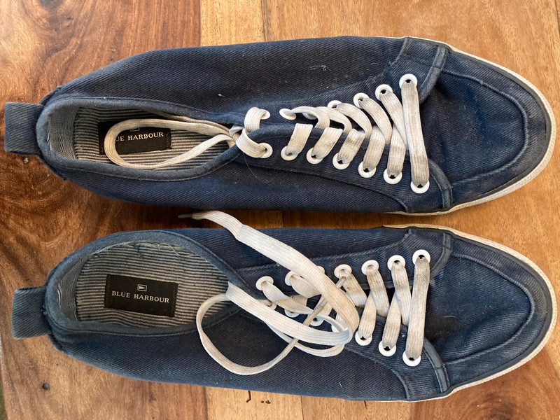 Marks and spencer mens 2025 canvas shoes