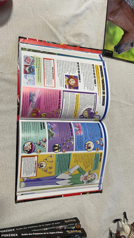 Livre - Pokémon l'encyclo