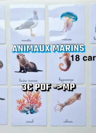 18 imagiers sur les animaux marins et aquatiques / cartes de nomenclature, condition: Very good, size: One size, €10.32, €11.54 includes Buyer Protection Pro